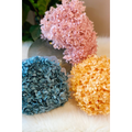 Ellison+Young - Preserved Flowers - Hydrangea