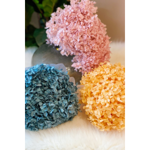 Ellison+Young - Preserved Flowers - Hydrangea