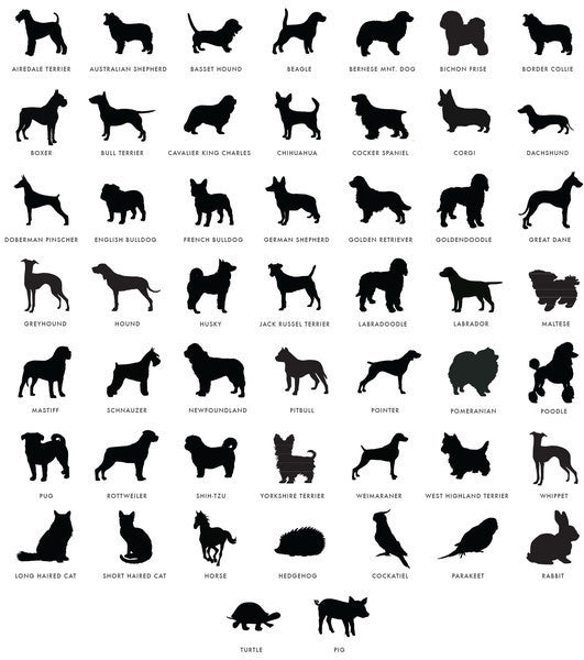 I found this at #moonandlola! - Pet Images